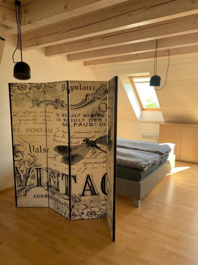 Dovolena Bez Starosti - Apartman U Venuse Pavlov Eksteriør bilde