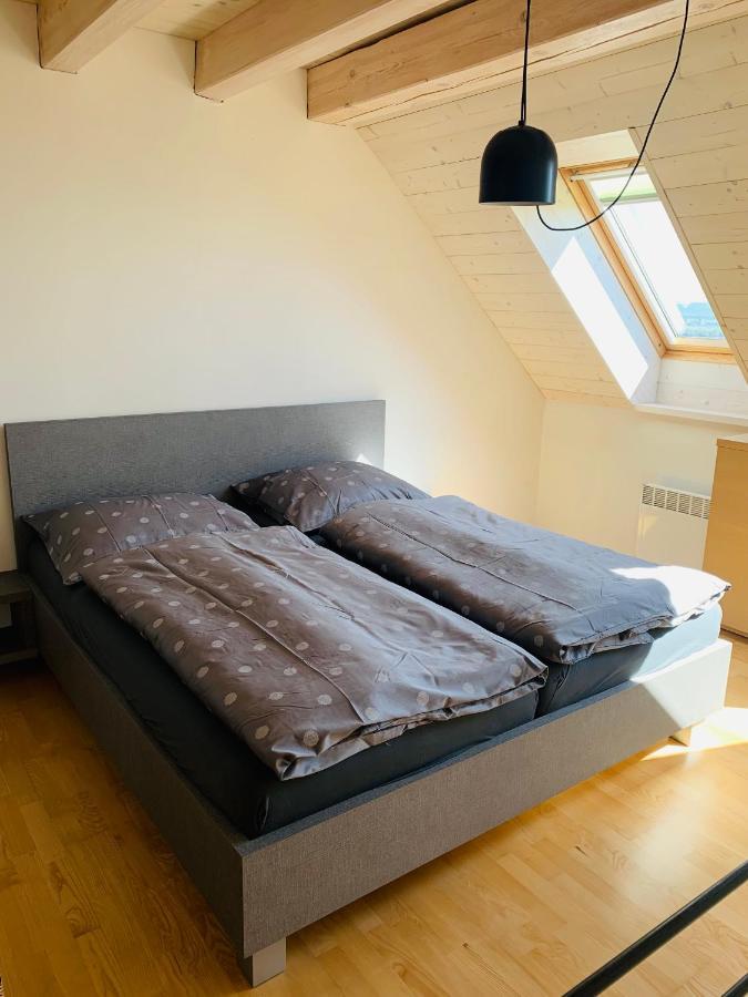Dovolena Bez Starosti - Apartman U Venuse Pavlov Eksteriør bilde